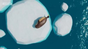 Релакс SEALOOK Music  HAPPY! HAPPY! HAPPY!  Compilation