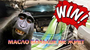 СИТРОЕН: ЖРЕТ МАСЛО. РЕШЕНИЕ🛠️
