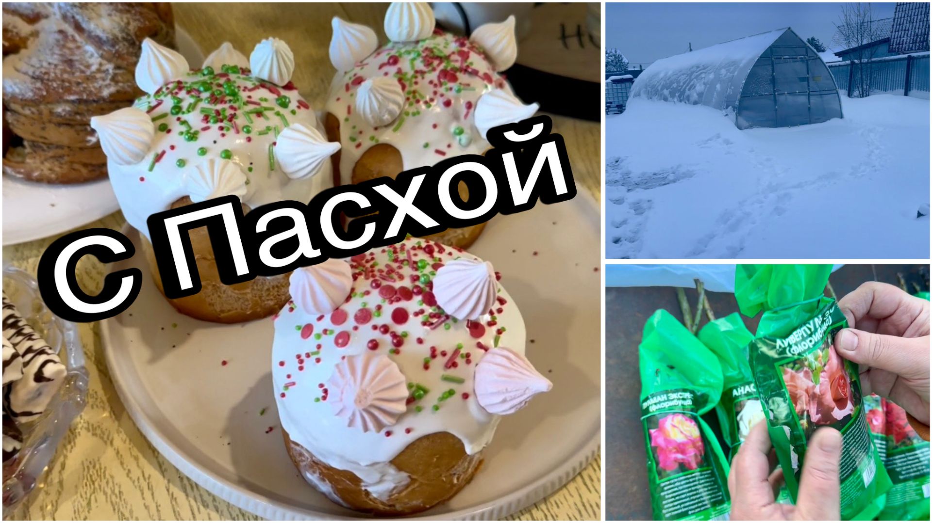 Сделала в первый раз Кулич. Опять завалило снегом. Розы из Светофора.