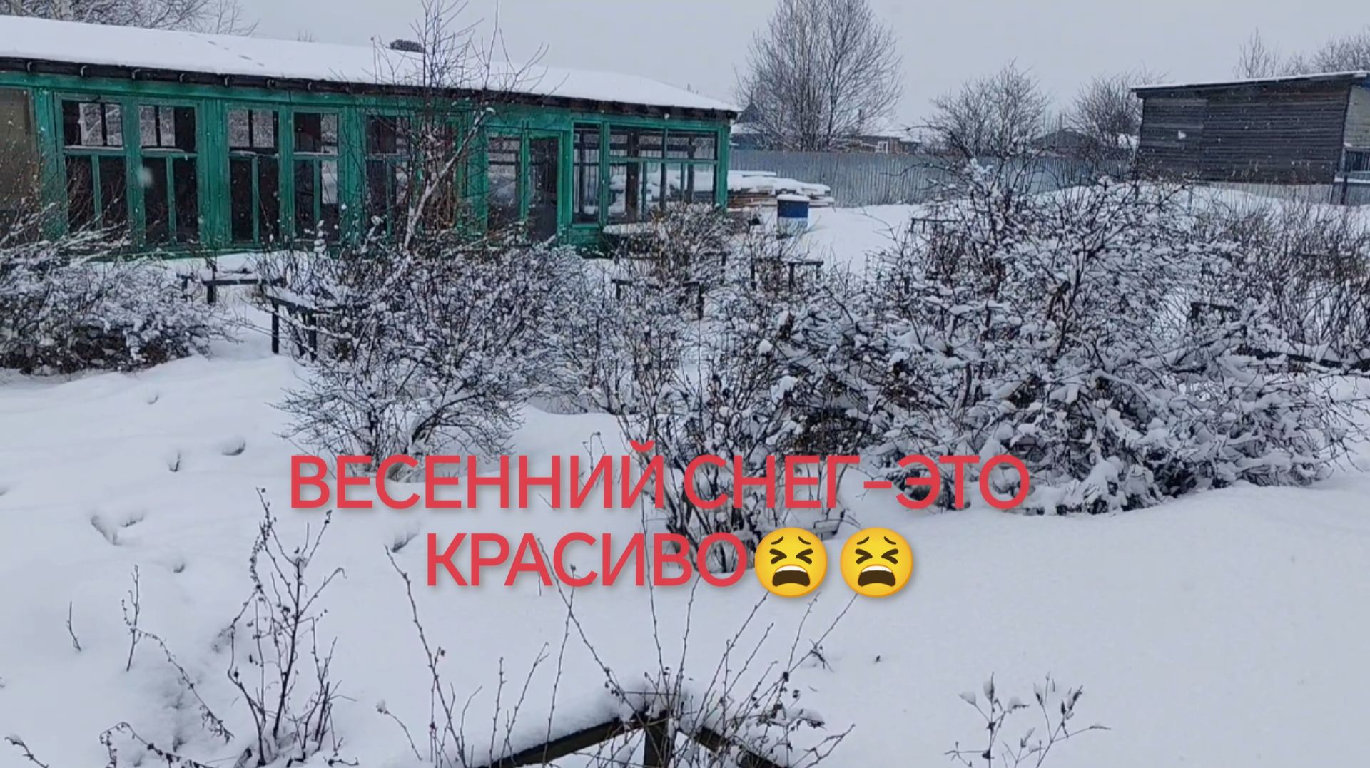 Весна-снег!)) 