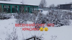 Весна-снег!)) "красота". Моя рассада))