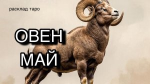 ОВЕН таро прогноз на МАЙ 2026 [расклад таро] [гадание онлайн]