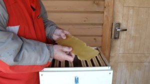 Улей Удав. Часть 2.