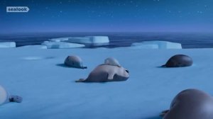 SEALOOK  Episodes Compilation