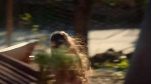 Мои братья и сестры 1 серия  #сериал #турецкиесериалы #драма #мелодрамма👌💕 #Kardeslerim моибратья