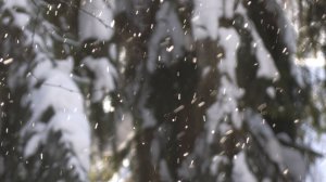 Немного снега для релакса