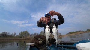 Осенняя ВОБЛА и крупный КАРАСЬ - ЛАПТИ на Волге! Осенняя рыбалка на донку с подпуском.