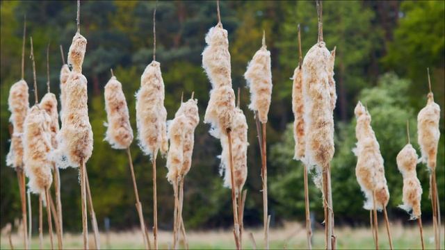 Напишите эту цифру на запястье 16 апреля. Мощный магнит для денег.