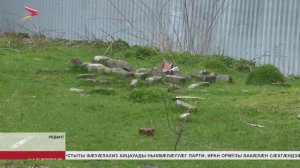 2025-æм азы 1-æм сентябрæй йæ тыхы бацыд зæххы хæйттæй пайда кæныны хицауады уынаффæ