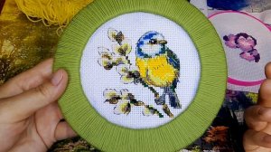 СП "Необычный марафон" 5 сезон. 1 неделя.