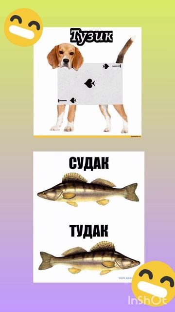 тузик, тудак-судак/СМЕХ