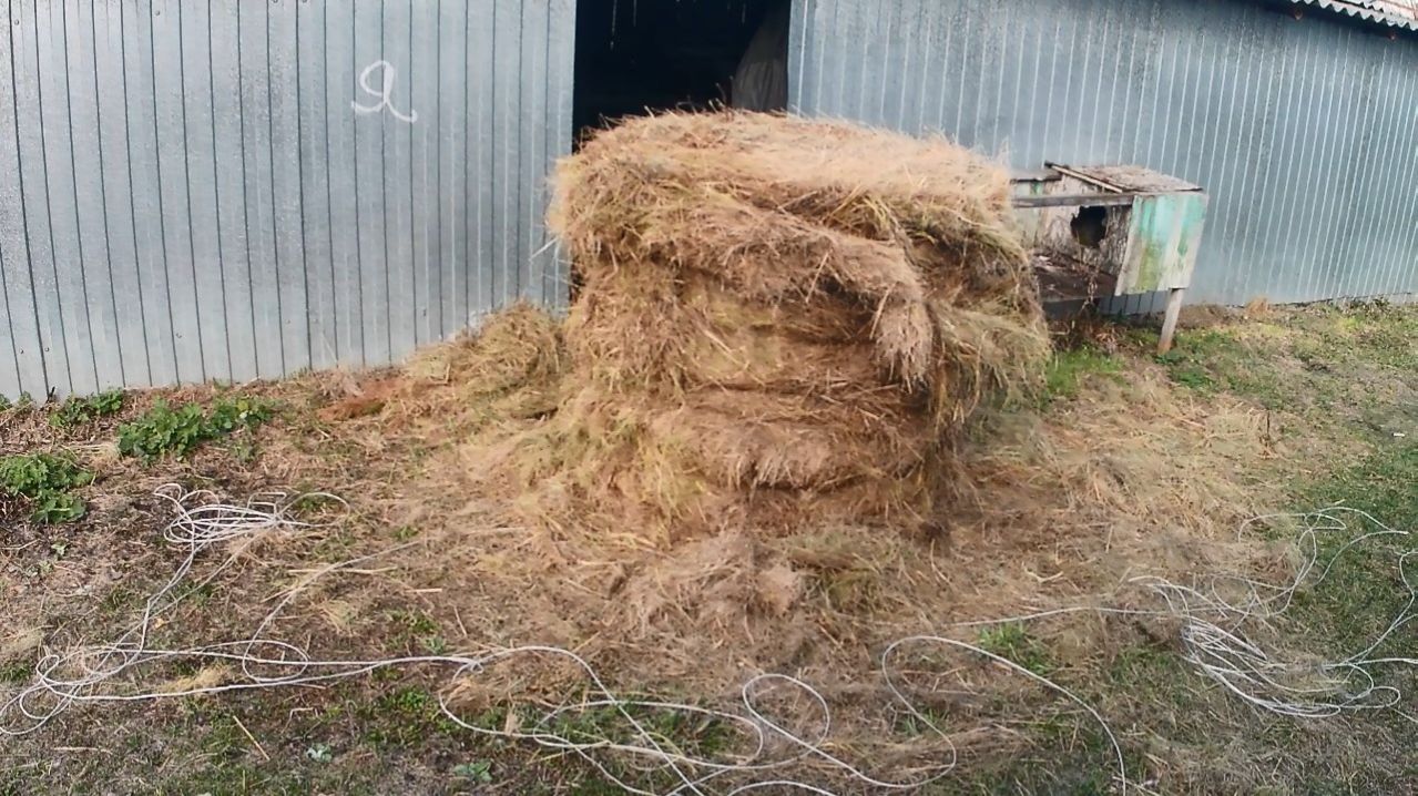 Лесное сено с доставкой на дом. Доступное органическое удобрение, подстил для скотины, корм червям.