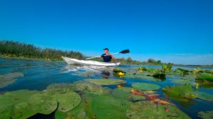 ПРОПУСТИЛ ПРОШЛЫЙ ГОД ТОГДА СМОТРИ. События года за 5 минут.