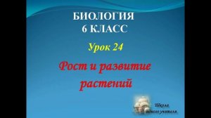 биология 6 класс лекция 24 по теме Рост и развитие растений
