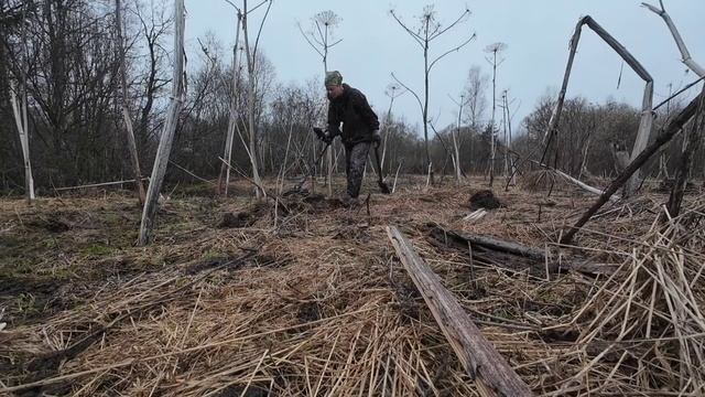 КОПАЕМ! ДИКИЕ ЗВЕРИ! ЗАБРОШЕННАЯ ДЕРЕВНЯ! Коп металла. Металлокоп. Металлоискатель