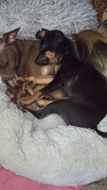 Так удобнее...