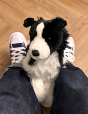 трансляция🍄