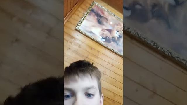 отвечаю на ваши вопросы