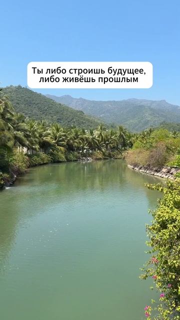 Старый груз мешает идти вперед 👇 #мотивация #заработок #деньги #успех #бизнес #здоровье