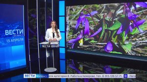 В Берёзовском распустился кандык сибирский