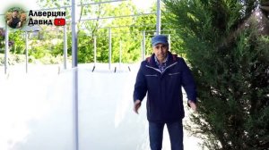 Возвратные заморозки побили виноградник! - Что делать (06.05.2024) (Видеоблог Давида Алверцяна)