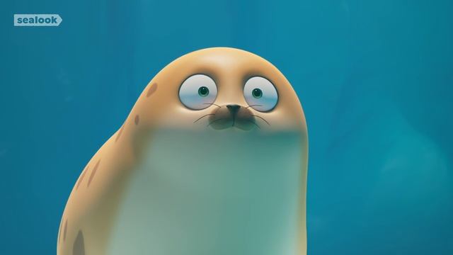 How I Met This Polar BearㅣPolar Bear SpecialㅣSEALOOKㅣEpisodes Compilation