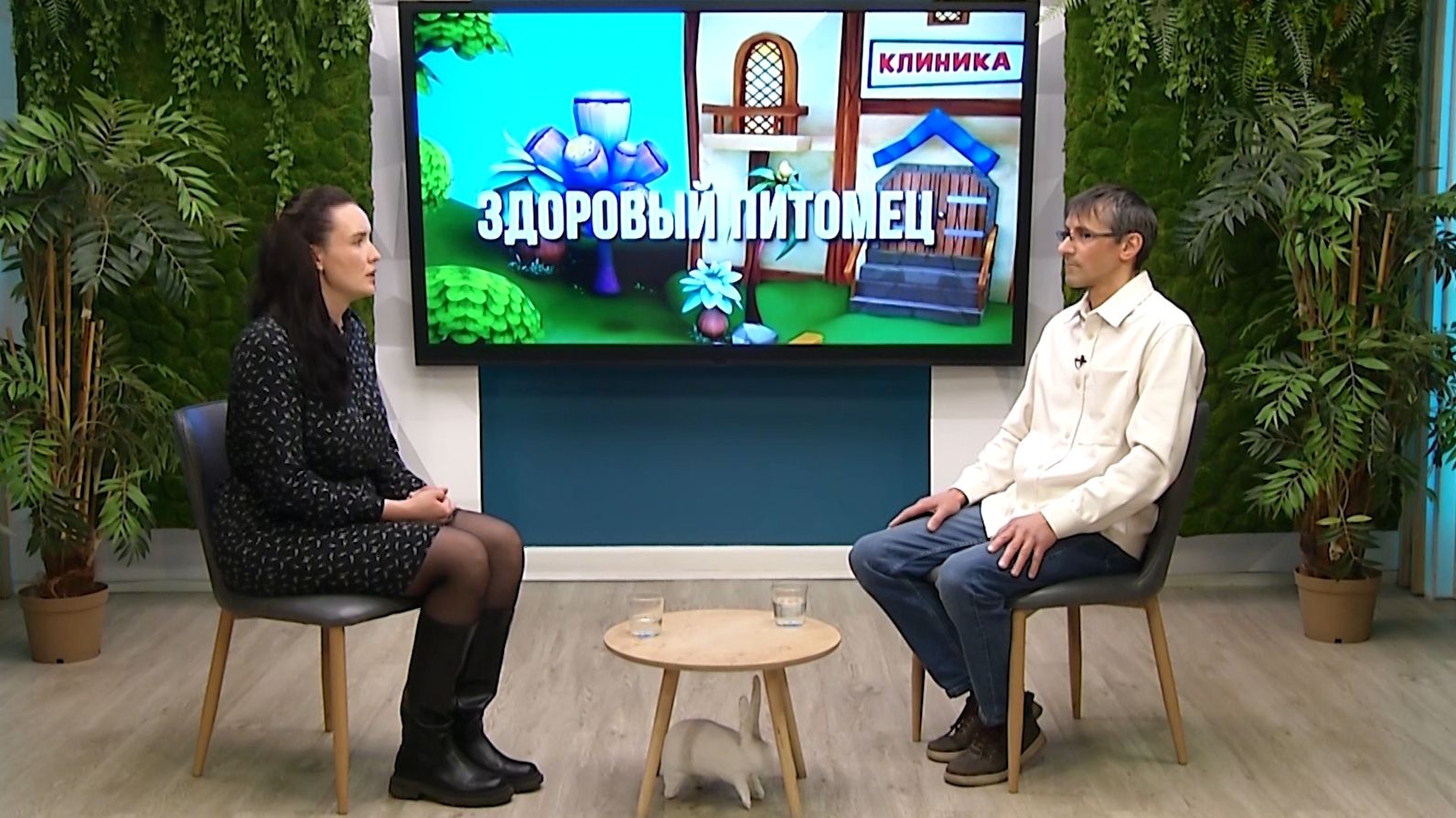 Здоровый питомец, 13.04.2026