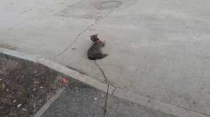 На улице хорошо.