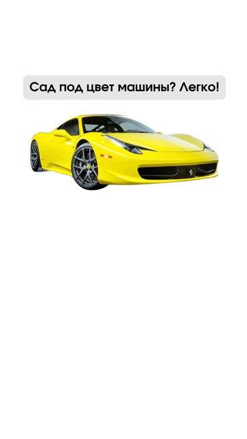 Для тех, кто любит, чтобы все на участке сочеталось между собой 👍🏻