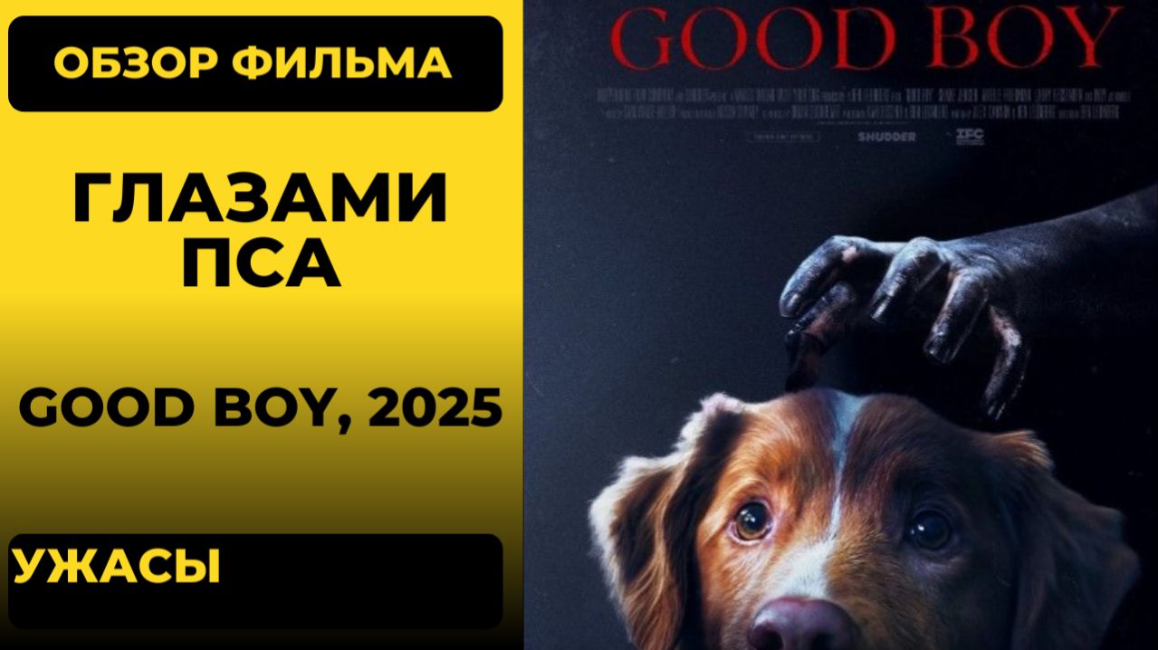 «Глазами пса» (Good Boy) 2025: обзор хоррора с собакой в главной роли