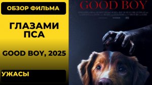 «Глазами пса» (Good Boy) 2025: обзор хоррора с собакой в главной роли