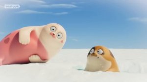 Love at First Sight💘ㅣSEALOOKㅣEP.71