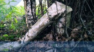 С. Есенин. До свиданья, друг мой, до свиданья...