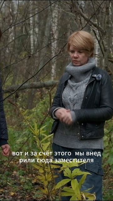 Дальневосточный уголок в саду  работа с фактурой и заменами