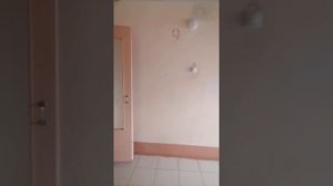 VID_20260411_164515.mp4