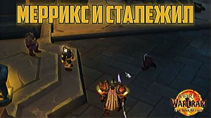 World of Warcaft War Within Меррикс и Сталежил