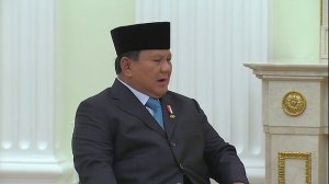 Российско-индонезийские переговоры