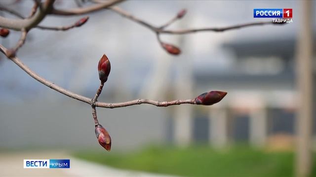 Сегодня 82-ю годовщину освобождения от немецко-фашистских захватчиков отмечает Симферополь