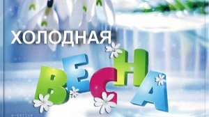 Холодная весна, сл. Св. Угрюмова, муз. Н. Ильин, исп. Т. Грачёва, клип М. Шутова