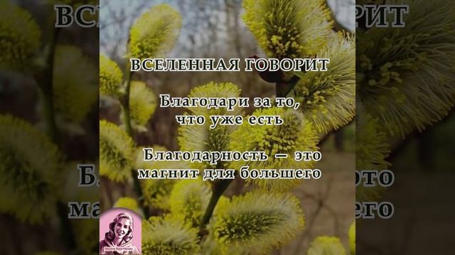 Послание на неделю 13.04.2026-19.04.2026