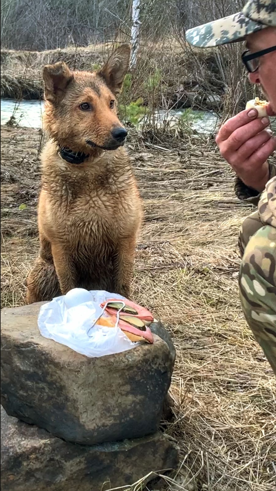 ОБЕДАЕМ С ПОДРУГОЙ