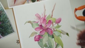 Использование техники акварельной глазури — флористика и ботаника