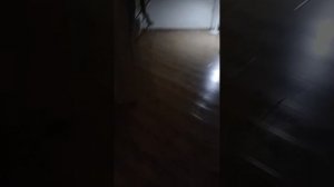 бекрумс в доме