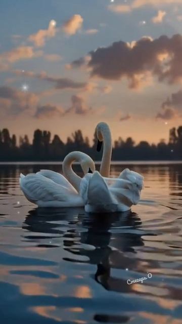 Добрый вечер