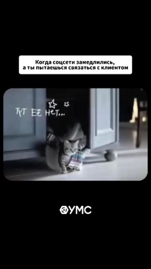 Если кто-нибудь нас слышит, кто-нибудь отзовитесь...