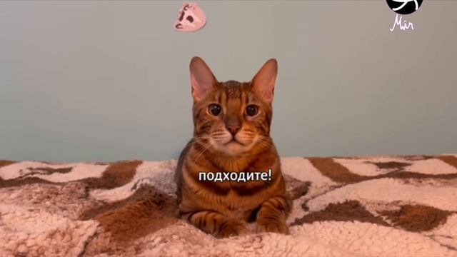 Фрагмент Эфира 