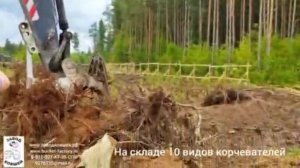 КУКАН ПОРАЗИЛ ВЕСЬ МИР