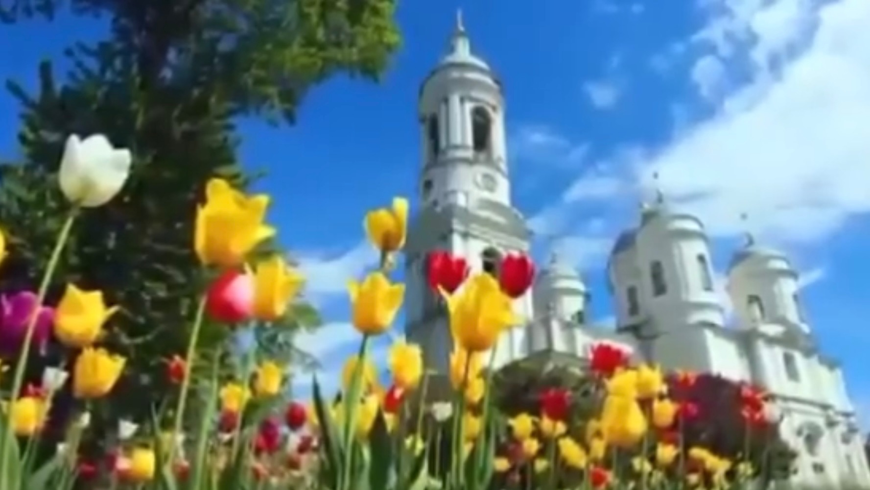 Я в минуты трудные