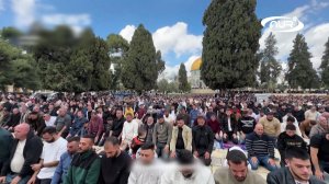 ДВЕРИ АЛЬ-АКСЫ СНОВА ОТКРЫТЫ ДЛЯ МУСУЛЬМАН!