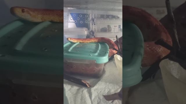 У нас сегодня +18! 28 марта 2026 г.